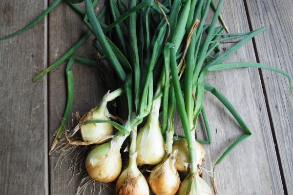 Kraken адрес onion